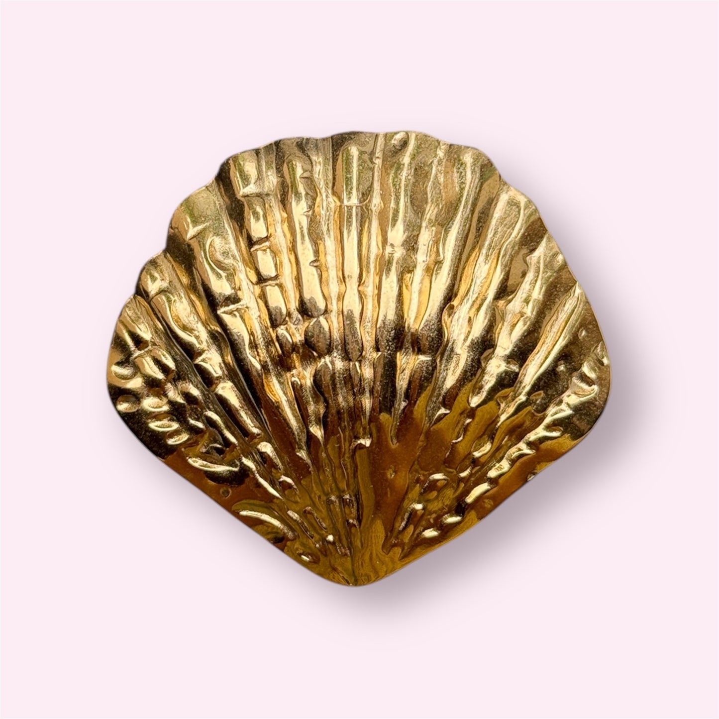 Ring Shellfish